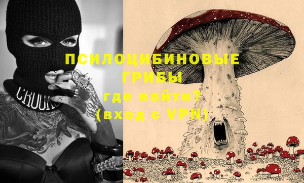 apvp Абаза