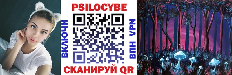 купить закладку  Камень-на-Оби  KRAKEN   Псилоцибиновые грибы Psilocybine cubensis 